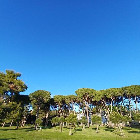 Family Apartments Zadar - Ryanair Exclusive Dış mekan fotoğraf